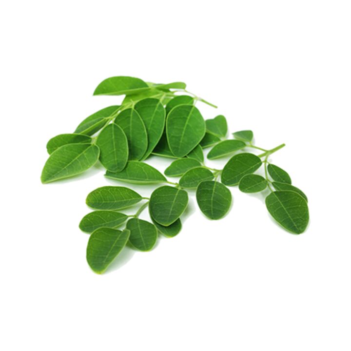 Normadex contém folha de moringa - um poderoso remédio natural contra parasitas