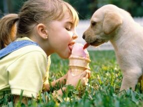 uma garota toma sorvete com um cachorro e fica infectada com parasitas